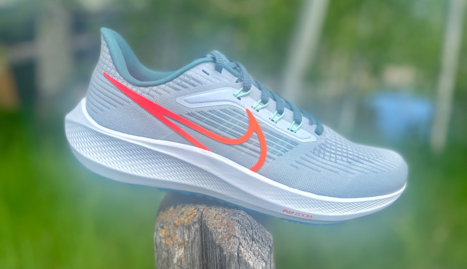 formel gået vanvittigt Skaldet Road Trail Run: Nike Air Zoom Pegasus 39 Multi Tester Review. 10 Comparisons