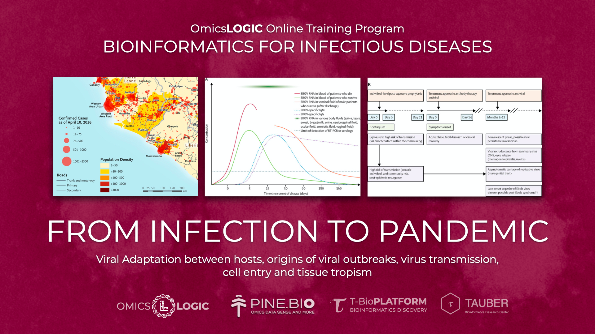 Bioinformatics for Infectious Diseases: From infection to pandemic