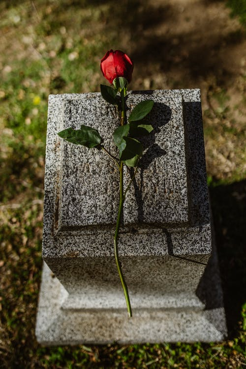 rose on a tombstone, death, funeral