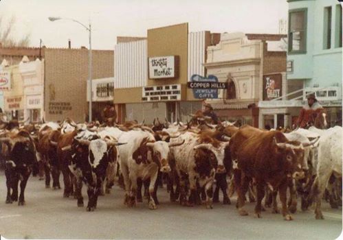 Lyon County, Nevada's photo.