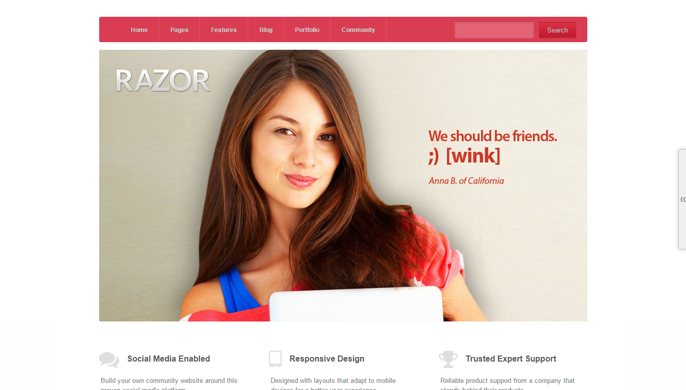 Razor: Tema WordPress de ponta