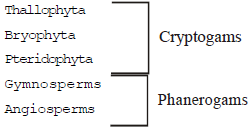 Diversity,in,living,organisms,9th,Class,Science,Cbse,ncert