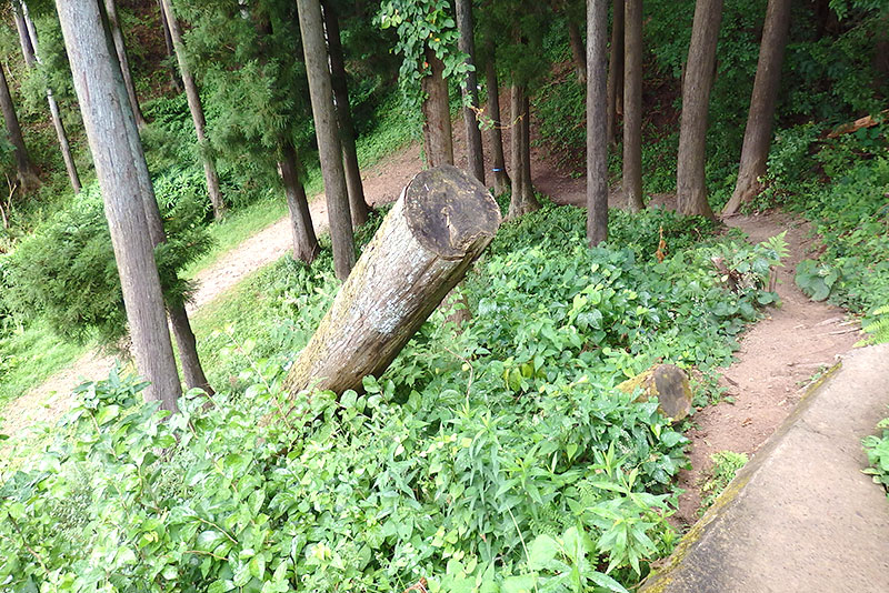 石巻市震災遺構大川小学校