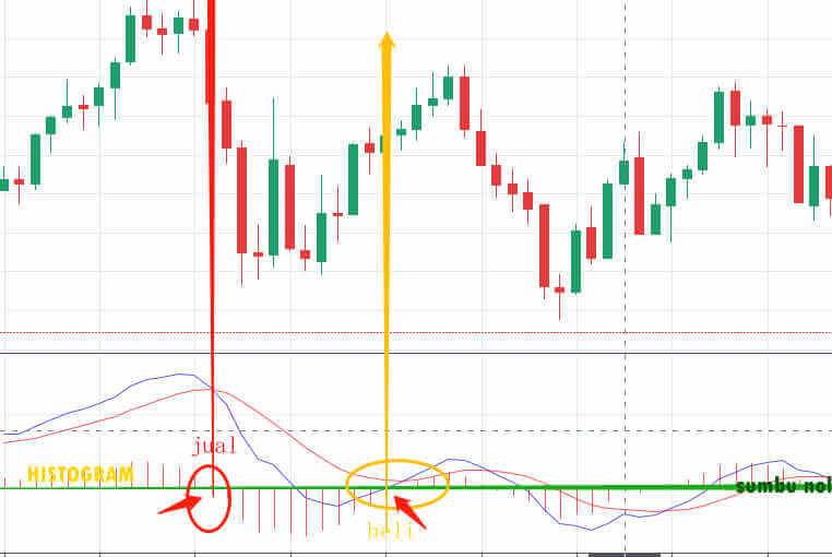 macd strategy
