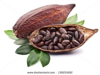 https://image.shutterstock.com/display_pic_with_logo/118042/139251692/stock-photo-cocoa-pod-on-a-white-background-139251692.jpg