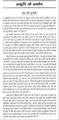 essay on hindi language in hindi