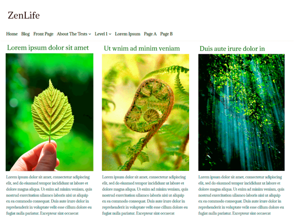 Why Choose Great Zen Themes To Make Your Home Design