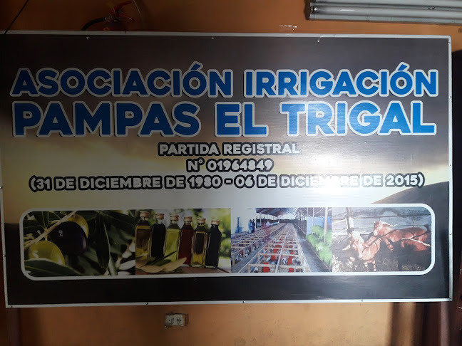 Asociación Irrigación Pampas El Trigal - Arequipa