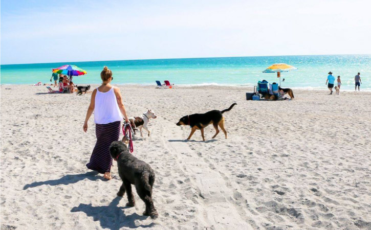 A woman is walking in the sand with her three dogs in Brohard Paw Park near Venice Beach — Sarasota’s only dog-friendly beach.