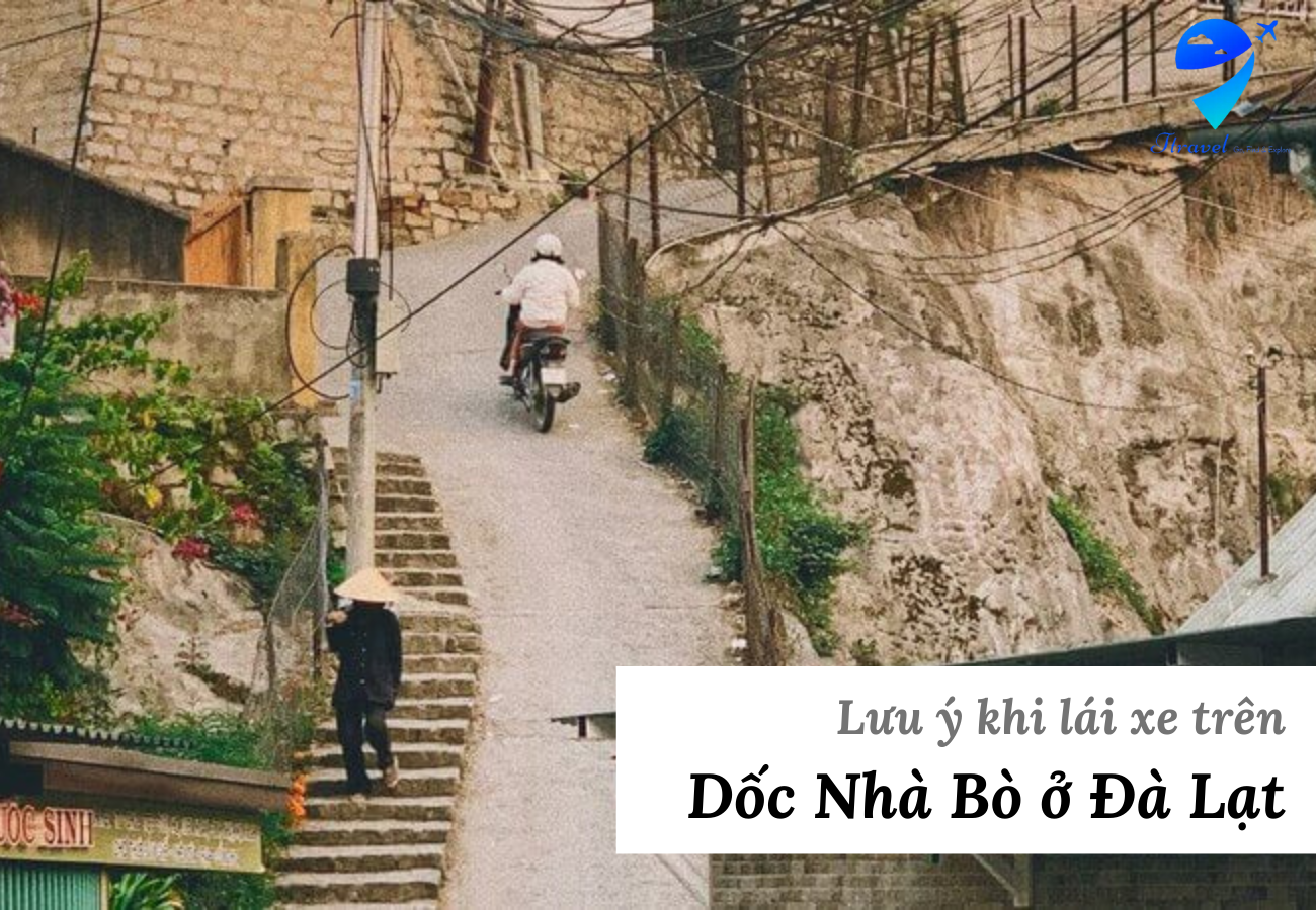 Lưu ý khi lái xe trên Dốc Nhà Bò ở Đà Lạt