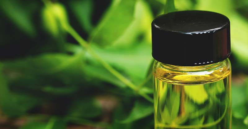 Spray neem oil on pepper plants.