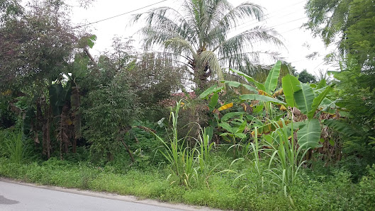 Aeman 69 Holidays Sdn Bhd Lot 3733, Kampung Mentuan, Kubang Kerian, 16150 Kota Bharu, Kelantan, Malaysia
