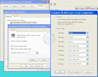 Download Radiummp3codec