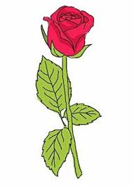 Image result for how to draw a rose