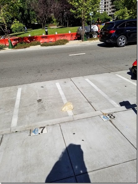 someone dropped their wig (440x586)