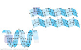 05_21cProteinStructure-U