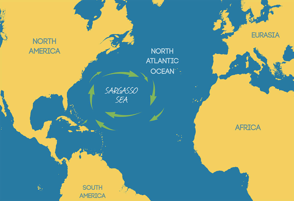 sargasso sea, map of sargasso sea