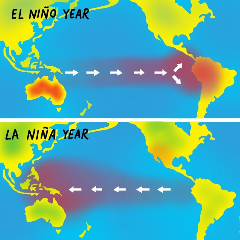 Demonstração por meio de flechas da direção dos ventos alísios que interferem na ocorrência dos fenômenos El Niño e La Niña.