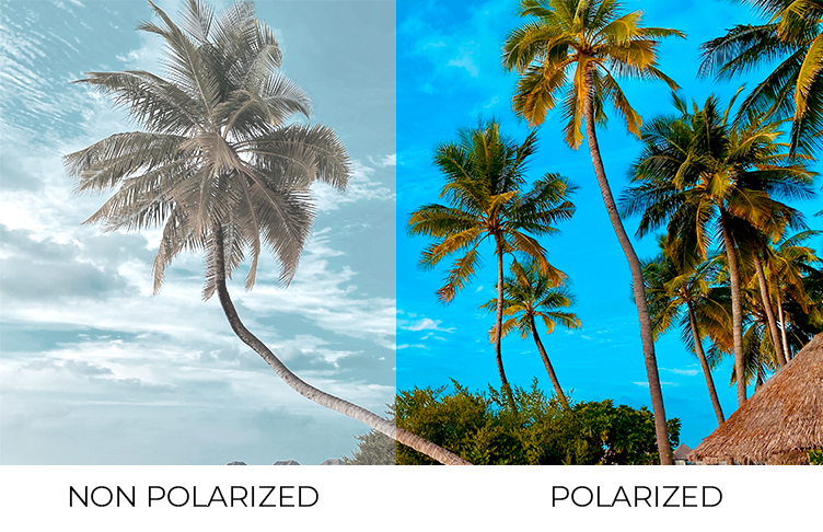 Polariserade solglasögon | SmartBuyGlasses SE