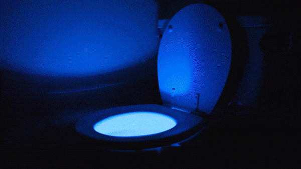 Image result for led toilet light