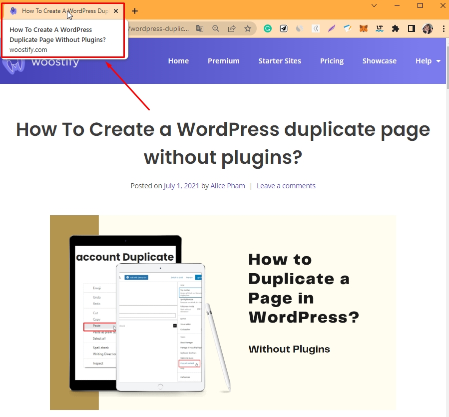How To Add Optimize Title Tag In WordPress Woostify