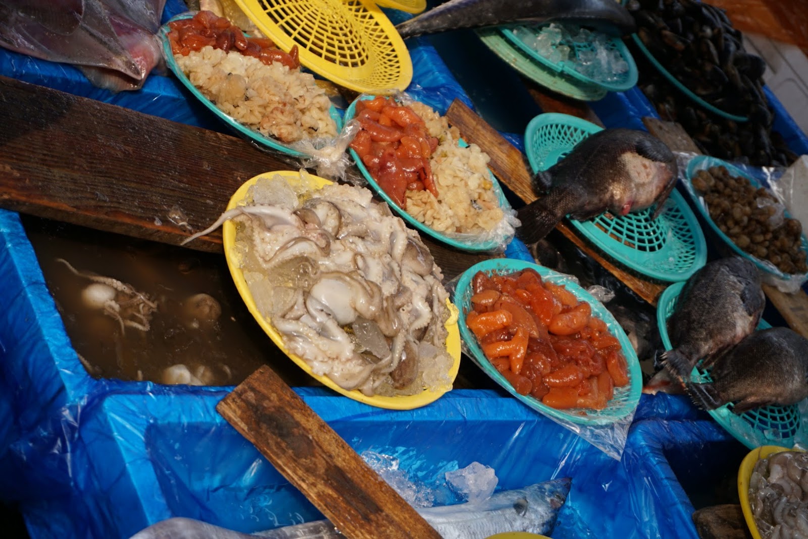 DSC03073.JPG