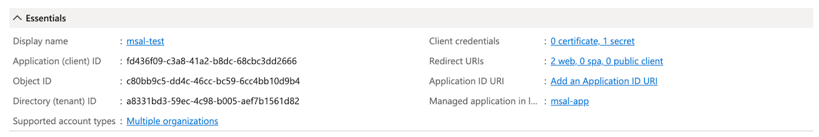 Details of the 'msal-test' application registration page displaying essential information like Application (client) ID and Directory (tenant) ID.