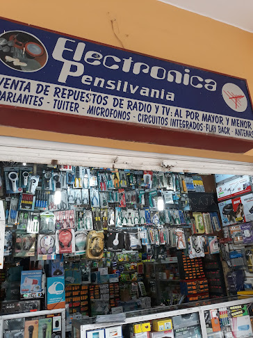 Electronica Pensilvania