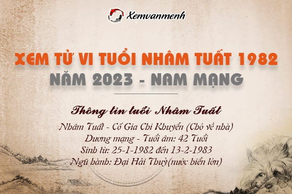 Xem tử vi tuổi Nhâm Tuất nam mạng năm 2023 