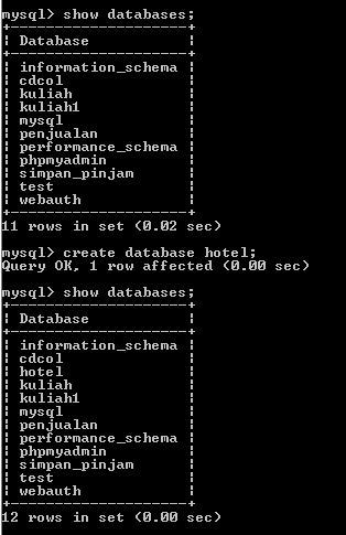 C:\Users\Aras\Documents\Tugas semester 1\Basis data\Tugas besar\3 Database dan Tabel\Capture1.PNG