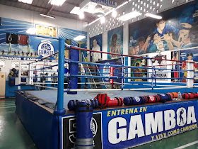 Gamboa Boxing