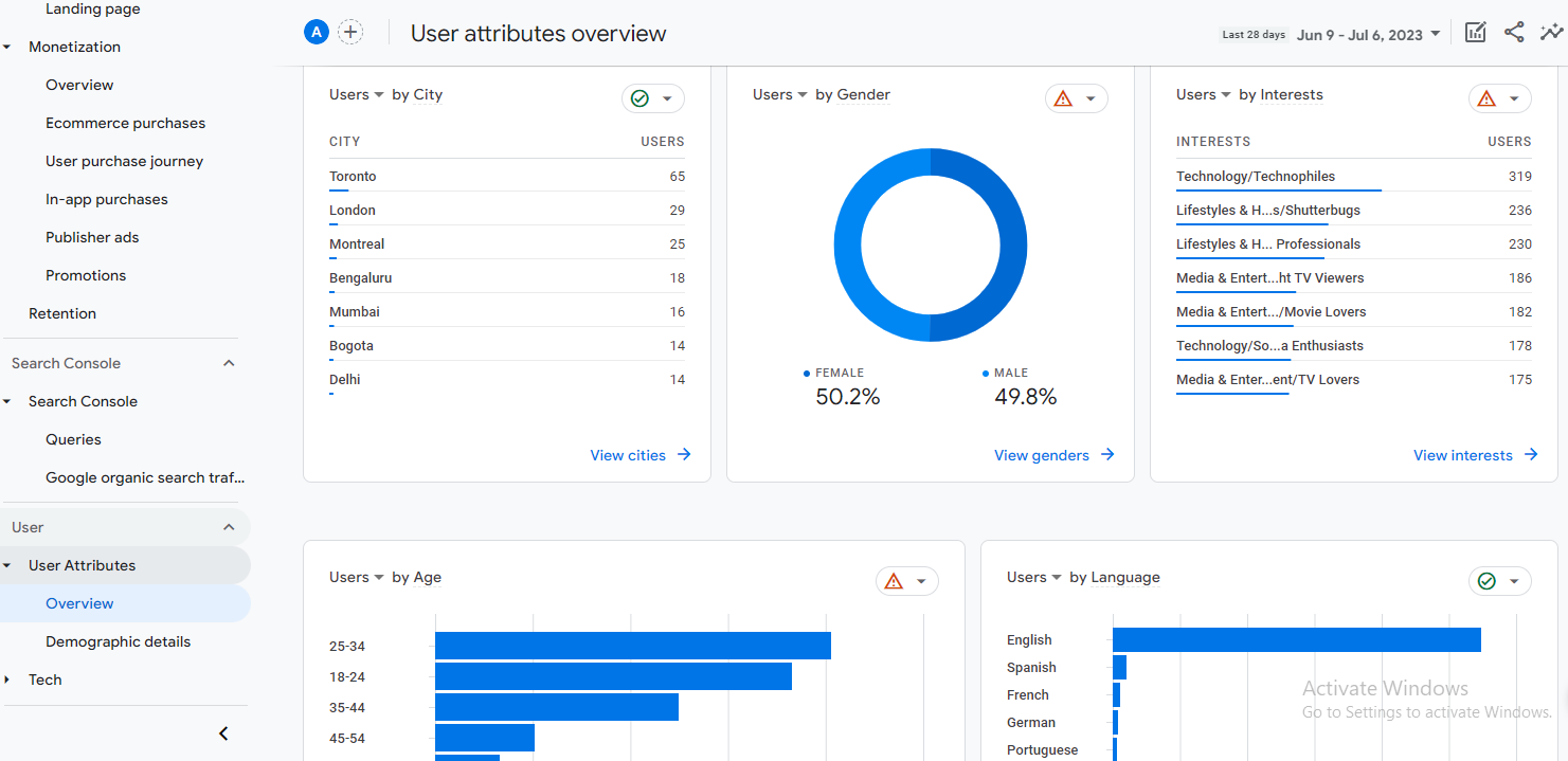 User Attributes Demographics GA4 Age Gender Language