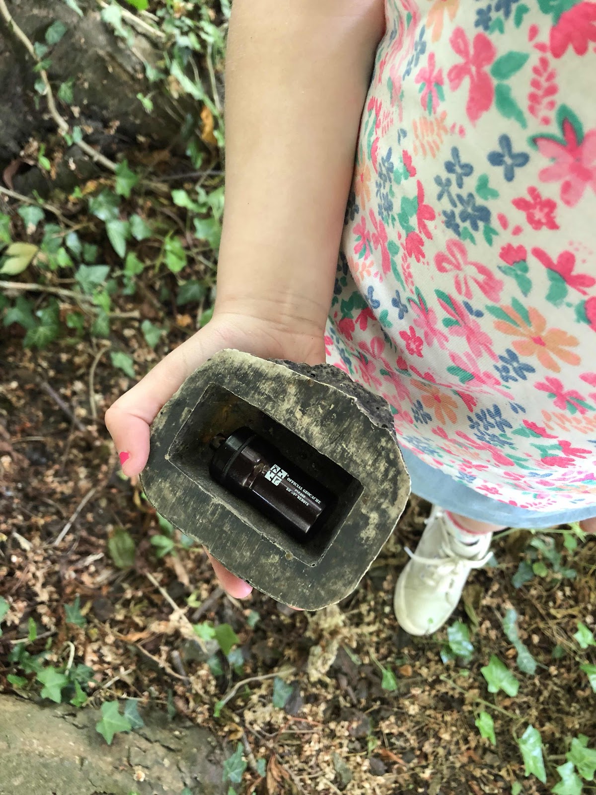 geocache in a rock