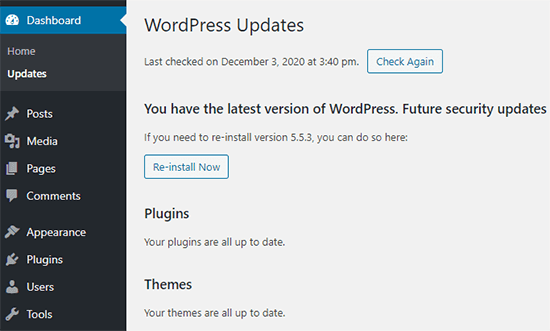 Tela de atualização do WordPress