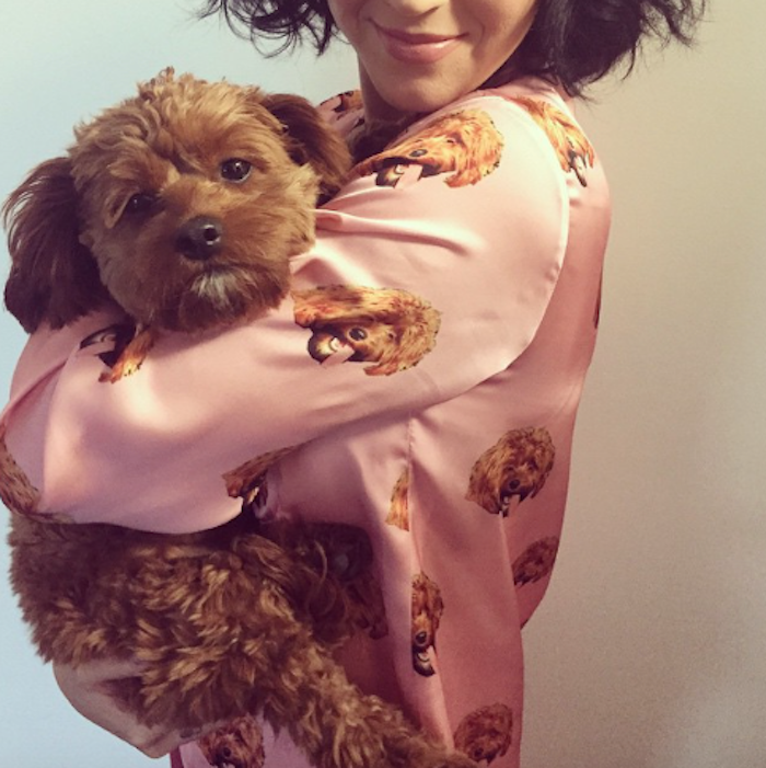Katy Perry and Cavapoo Butters
