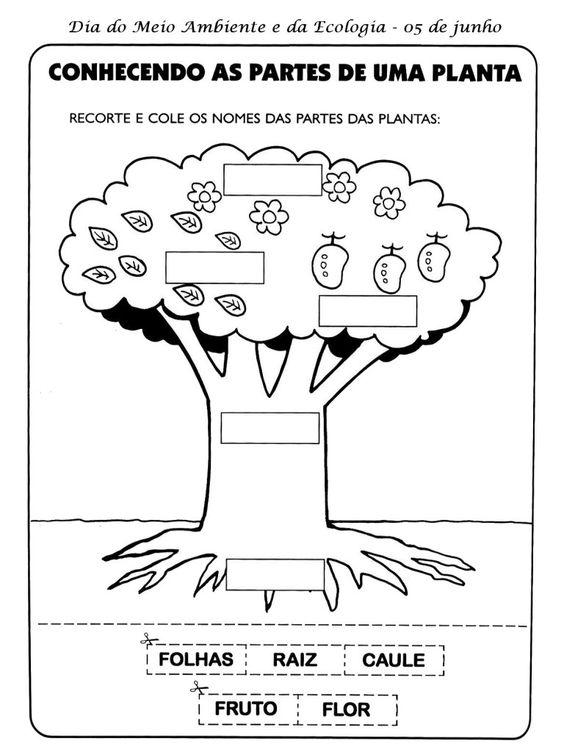 210 Atividades Meio Ambiente para Educação Infantil e Ensino Fundamental - Online Cursos Gratuitos