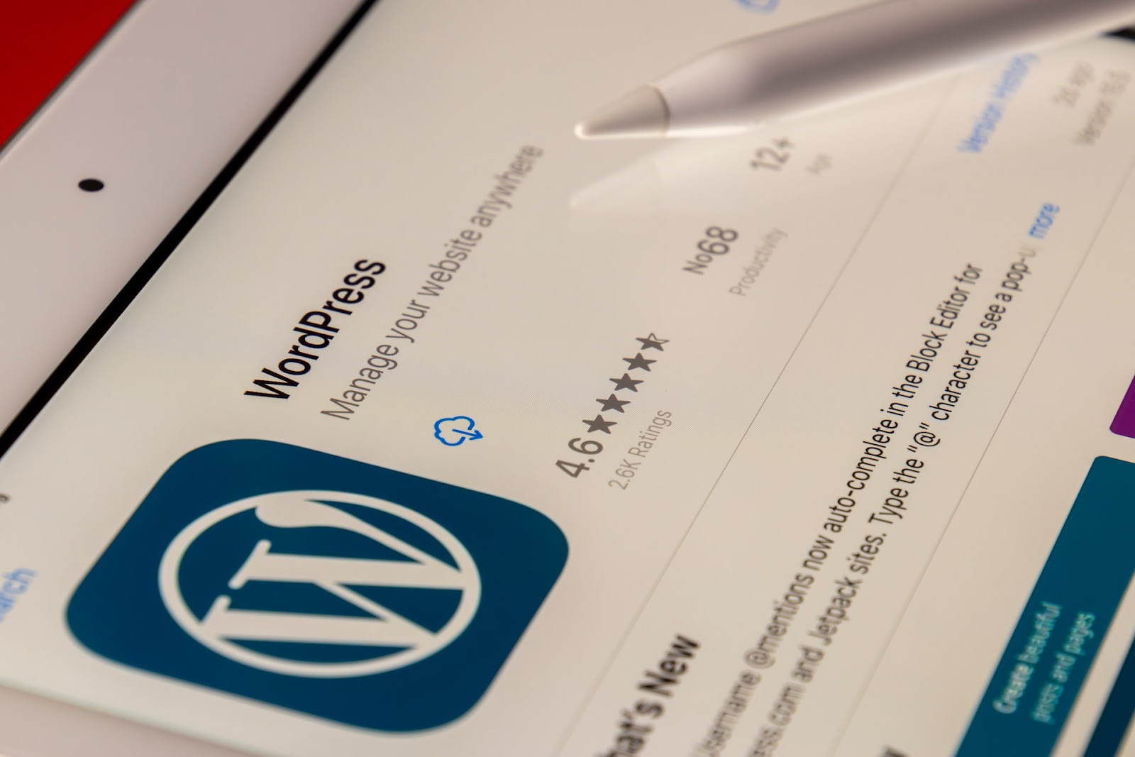 WordPress Development Services