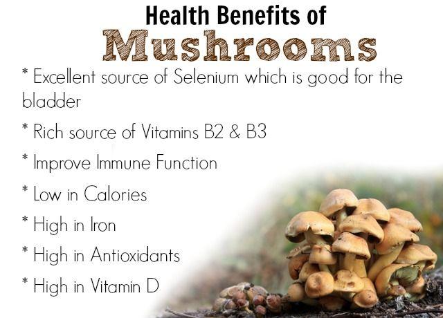 Health Benefits of Mushrooms :: Five Little Homesteaders | Health benefits  of mushrooms, Mushroom benefits, Coconut health benefits