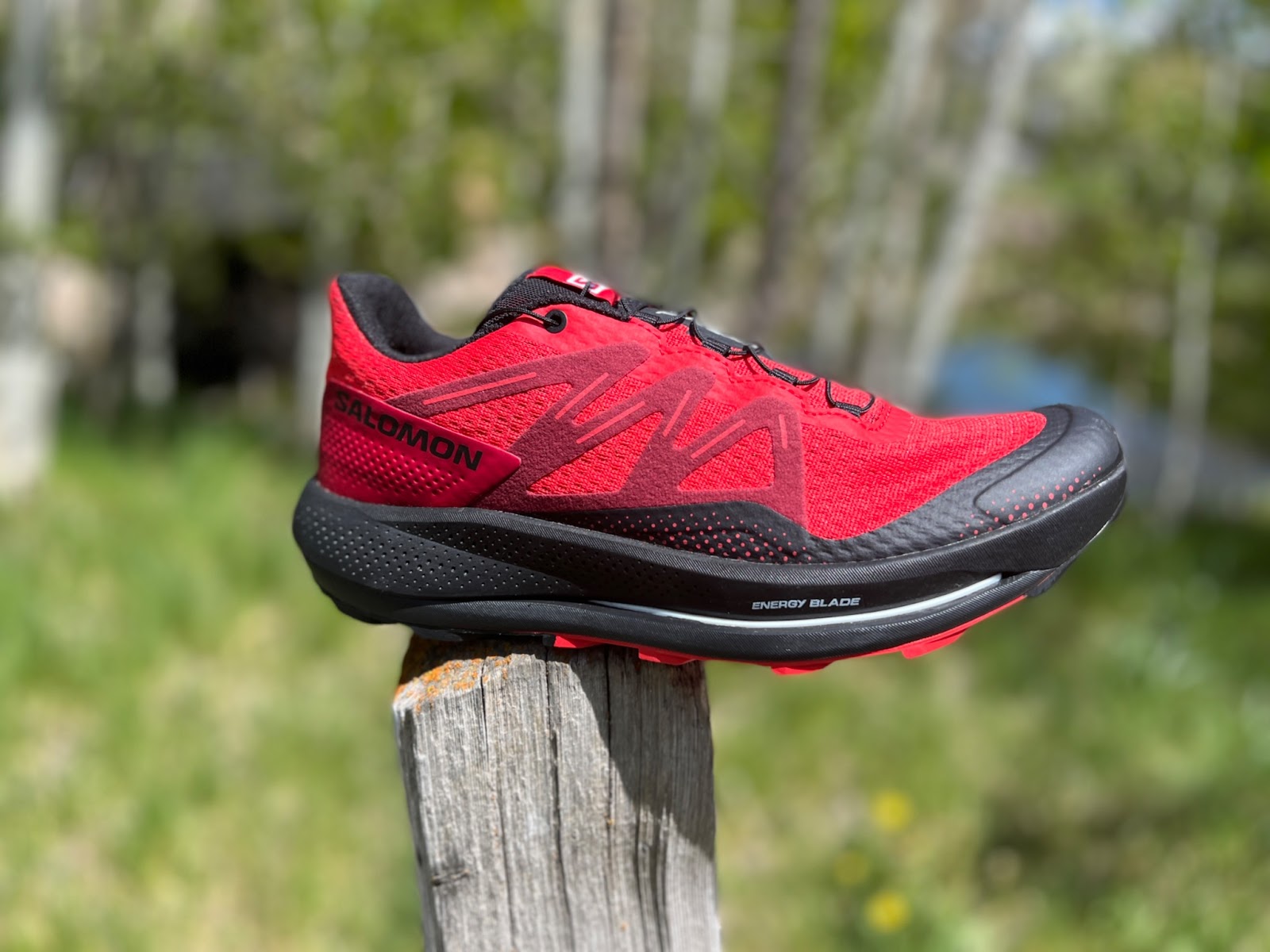 Road Trail Run: Salomon Pulsar Trail Review: The New Salomon! Plated, Protective, Deeply and Versatile.