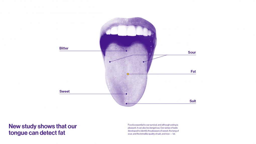 Pennington Biomedical Tongue Diagram