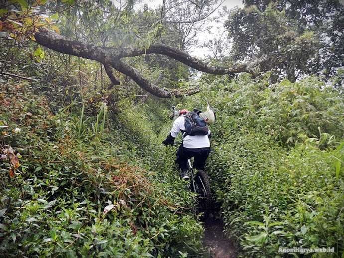 Menjelajah single track menuju Jantur