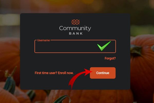 log in to Community bank n.a.