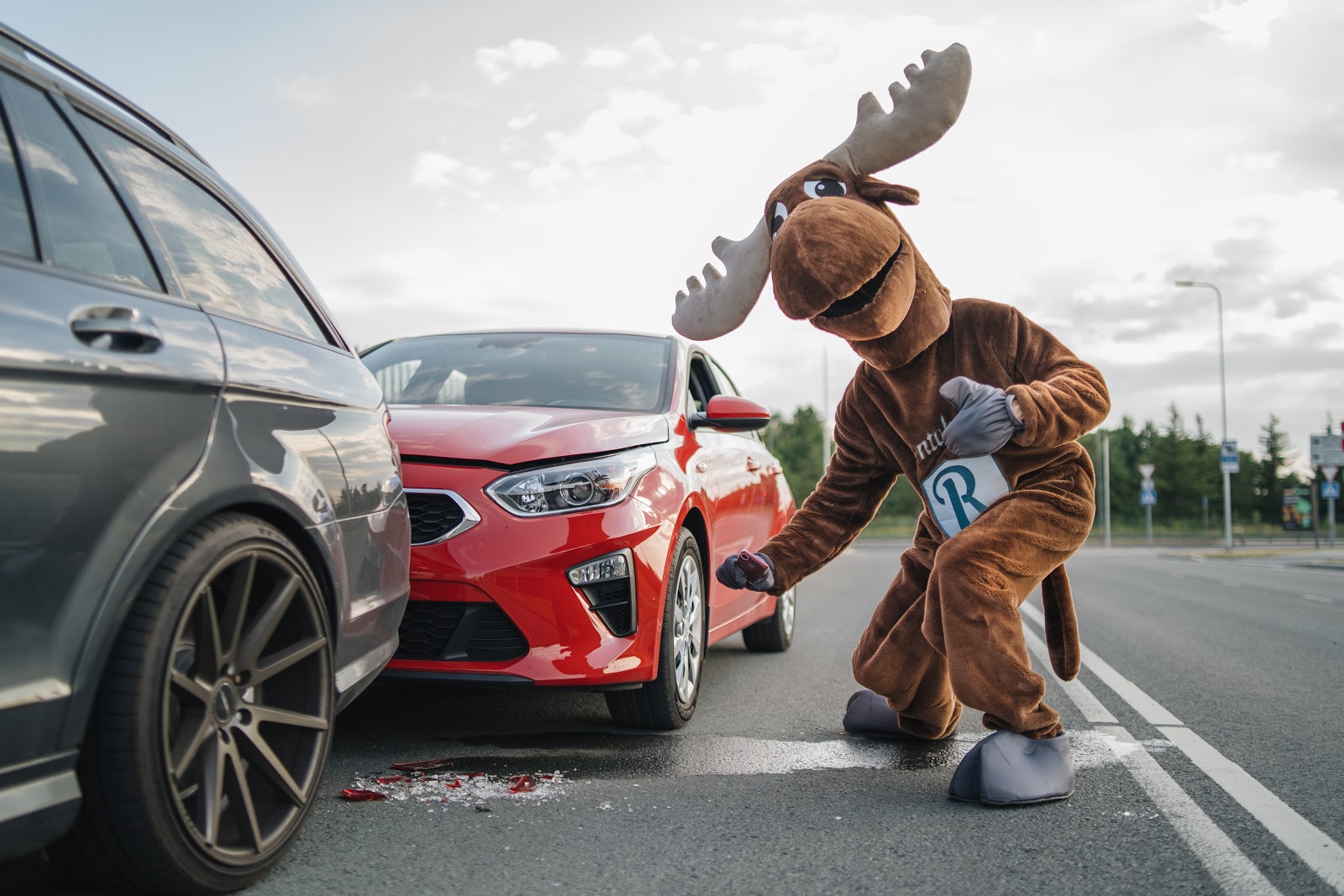 Rental Moose mascot is photographing a red crashed Kia rental car. Always take pictures of a collision in your rental car. Rentalmoose is a worldwide car rental broker.