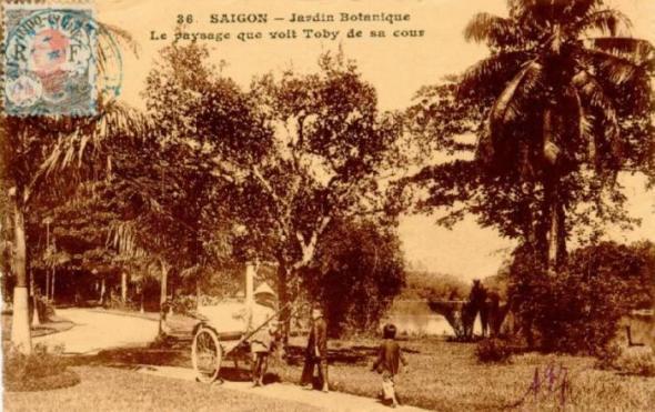 http://maivantran.files.wordpress.com/2011/09/saigon_jardin_botanique1.jpg?w=590&h=371