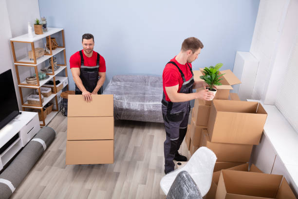 award winning moving company in fort lauderdale, palm beach counties, local movers, installation services