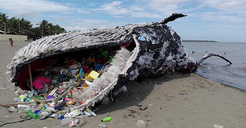 A Greenpeace Philippines representation of a dead whale from ingestion of plastic. The... [+] representation is increasingly becoming a reality.