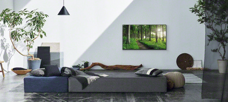Image of living room scene showing Living Decor concept