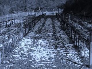Relatos cortos del año 2013