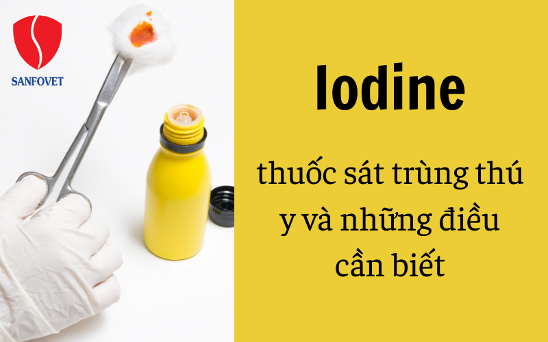 Iodine thuốc sát trùng thú y và những điều cần biết