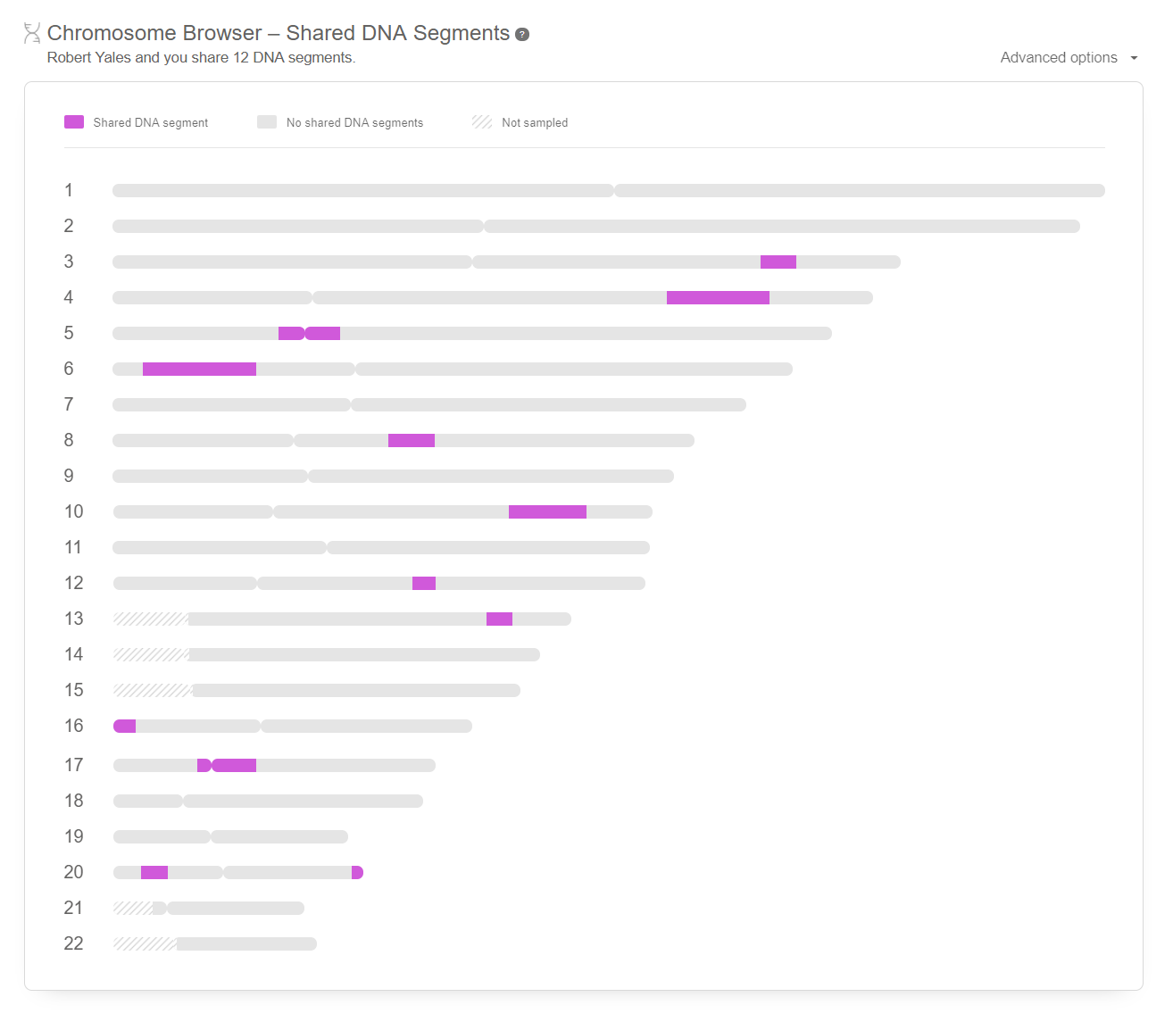 Navegador de cromossomos MyHeritage para visualizar segmentos de DNA compartilhados com correspondências. Da revisão do My Heritage.
